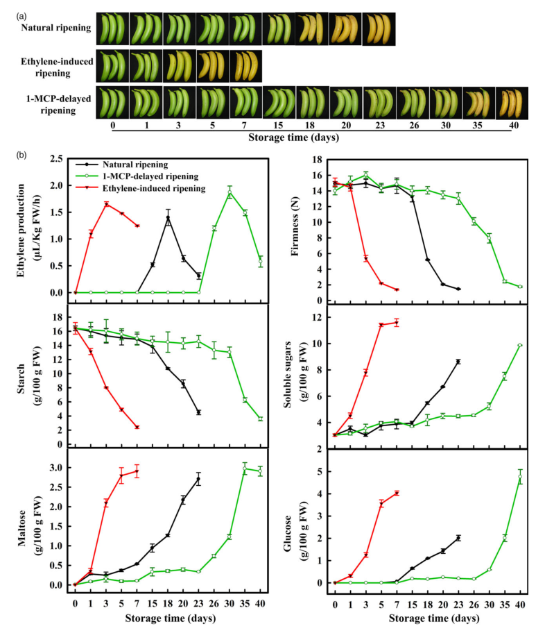 iTRAQ蛋白質(zhì)組學(xué)分析、itraq實(shí)驗(yàn)服務(wù)、iTRAQ技術(shù)