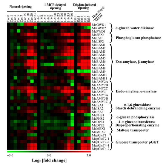 iTRAQ蛋白質(zhì)組學(xué)分析、itraq實(shí)驗(yàn)服務(wù)、iTRAQ技術(shù)