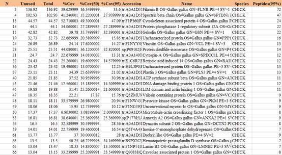 GST pull down試劑盒廠家-大量現(xiàn)貨-輝駿生物