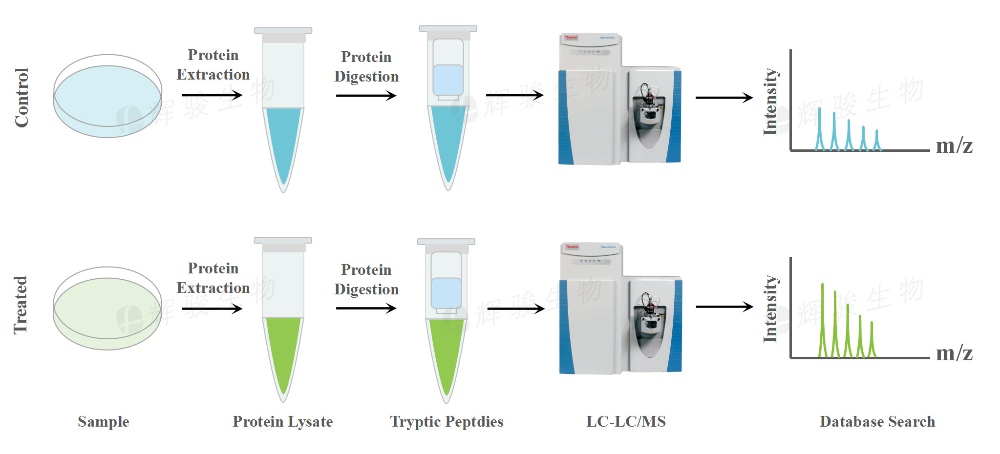 label free蛋白_label free技術(shù)服務(wù)價(jià)格_label free蛋白組學(xué)檢測.jpg